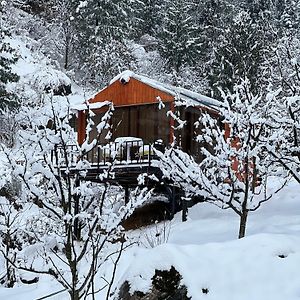 Glass Cabins By Urban Monk- Unique Centrally Heated Cabins With Electric Blankets